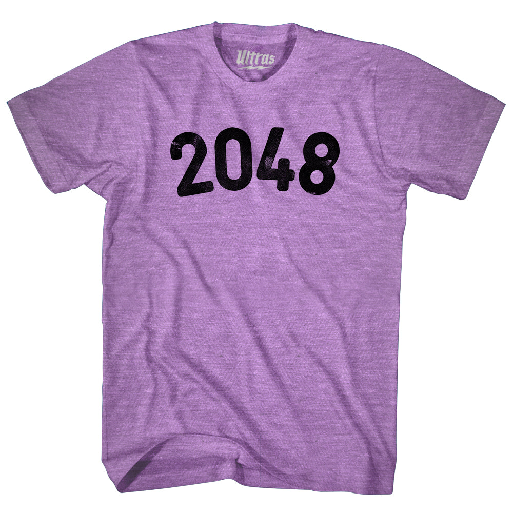 2048 Year Celebration Adult Tri-Blend T-shirt Style006
