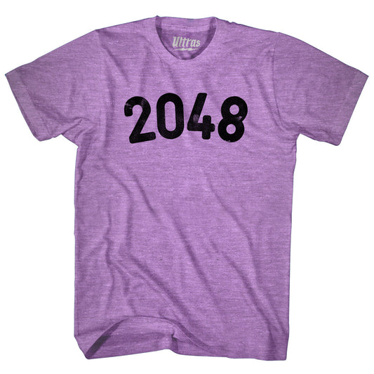 2048 Year Celebration Adult Tri-Blend T-shirt Style006