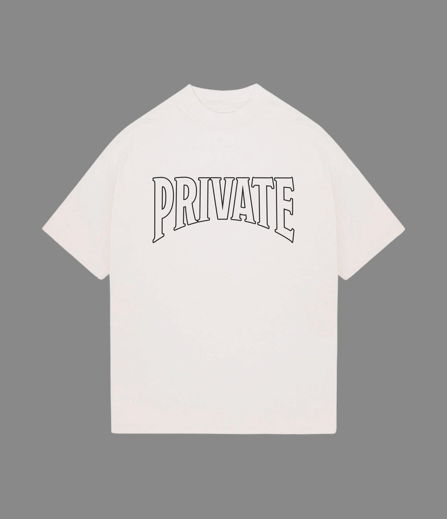 PRIVATE VICTORIES PRIVATE TEE - clothing by TeeHivey.com (Image 2)