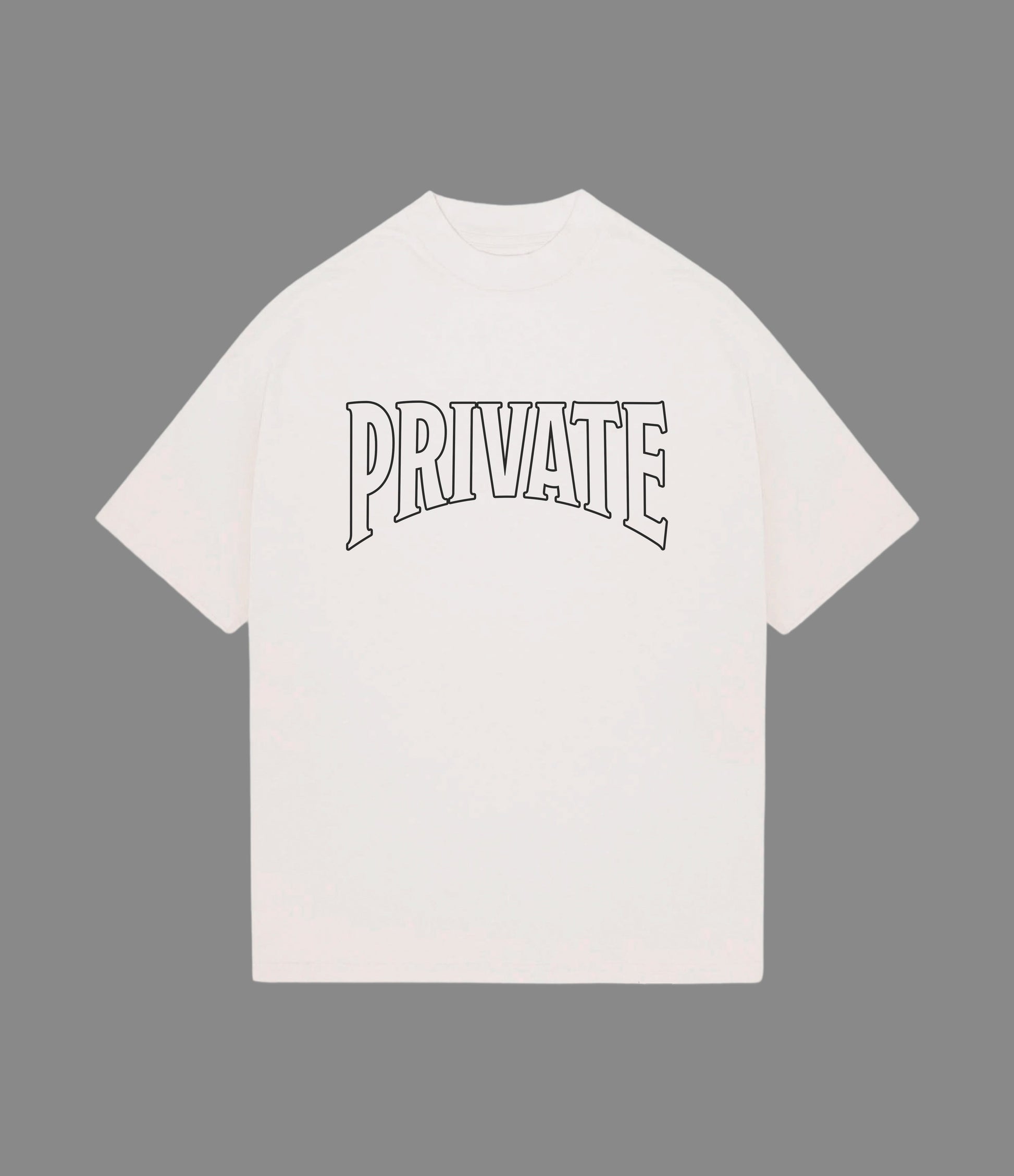 PRIVATE VICTORIES PRIVATE TEE - clothing by TeeHivey.com (Image 2)