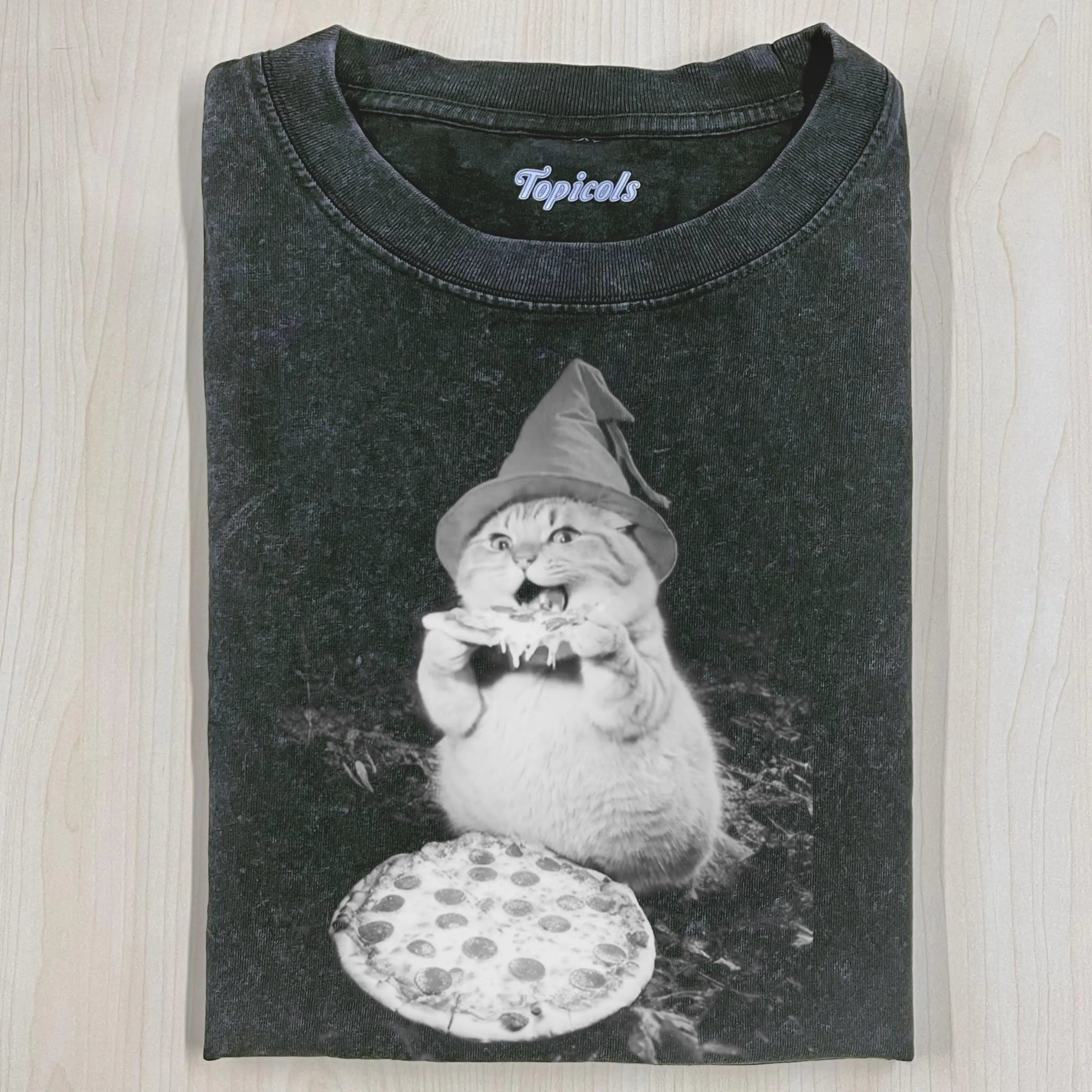 PIZZA LOVER T-SHIRT - clothing by TeeHivey.com (Image 1)