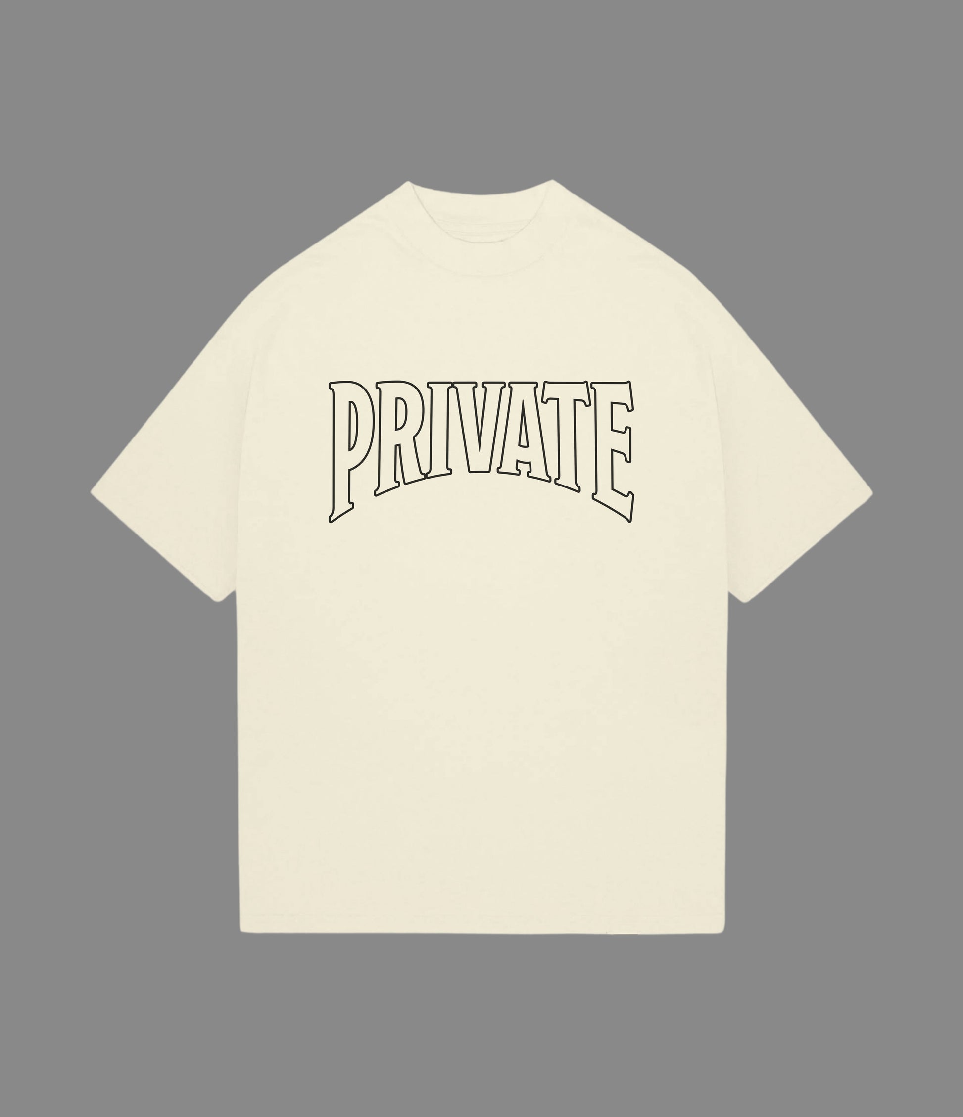 PRIVATE VICTORIES PRIVATE TEE - clothing by TeeHivey.com (Image 3)
