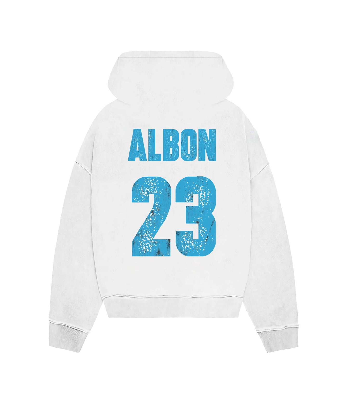 ALBON WILLIAMS ZIP HOODIE