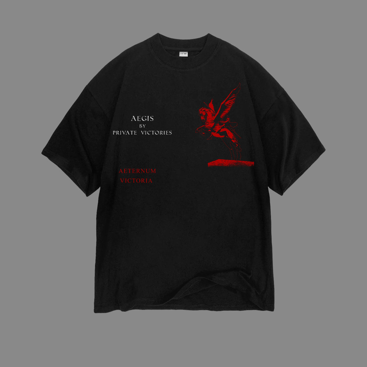PRIVATE VICTORIES PEGASUS TEE - clothing by TeeHivey.com (Image 1)