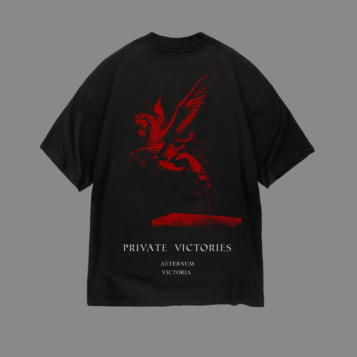 PRIVATE VICTORIES PEGASUS TEE - clothing by TeeHivey.com (Image 2)