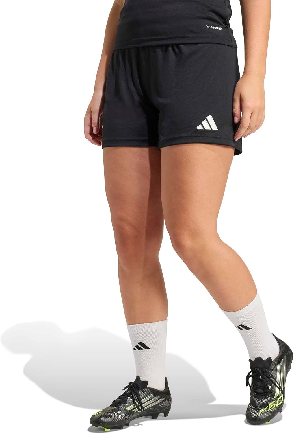 Women's Entrada 26 Shorts