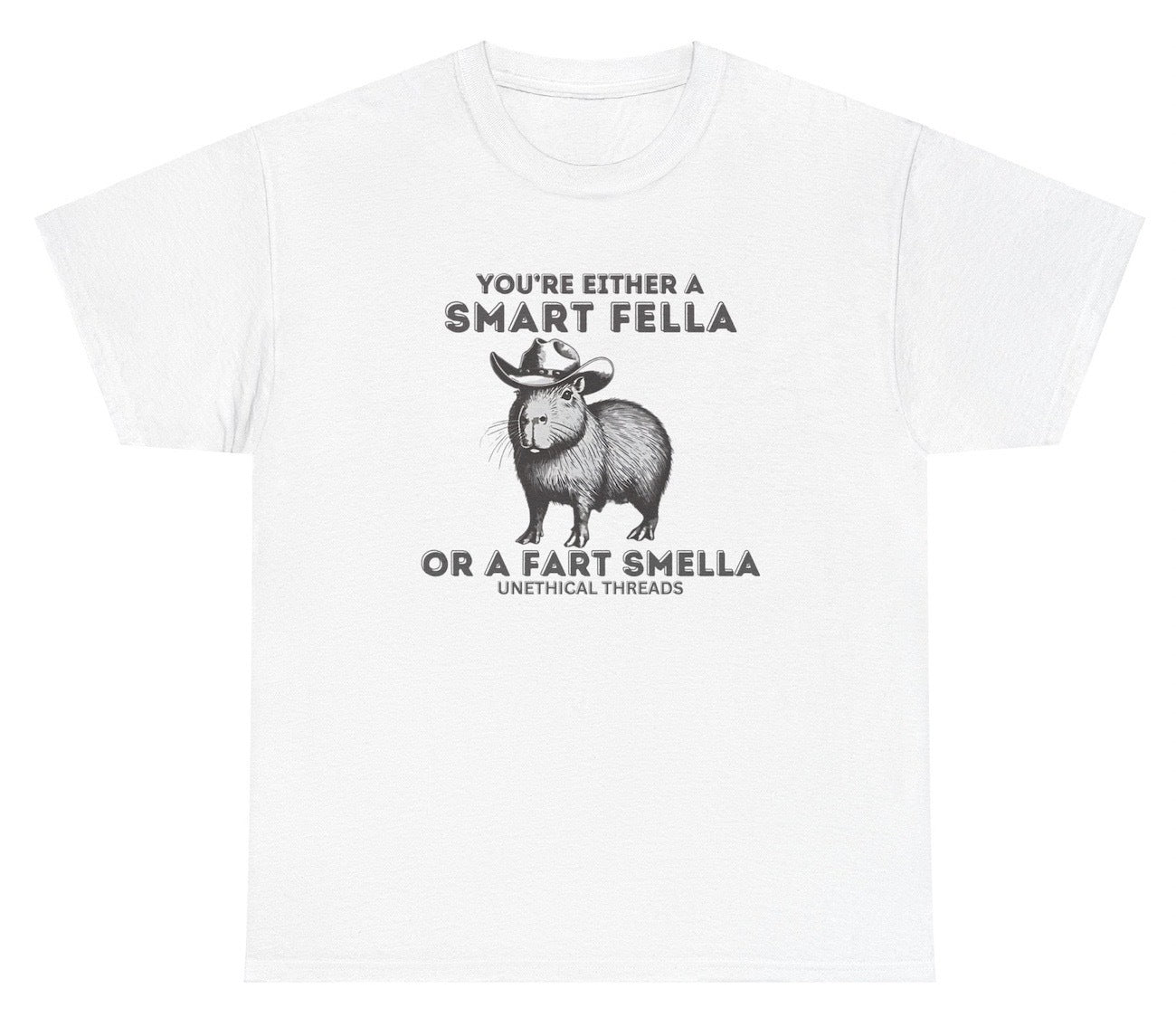 Youâ€™re Either A Smart Fella Or A Fart Smella Tee - clothing by TeeHivey.com