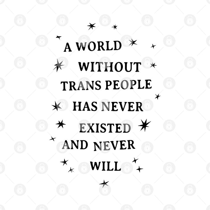 A World Without Trans People Has Never Existed And Never Will T Shirt
