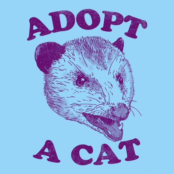 Adopt a Cat - 3/4 Sleeve Raglan T-Shirt