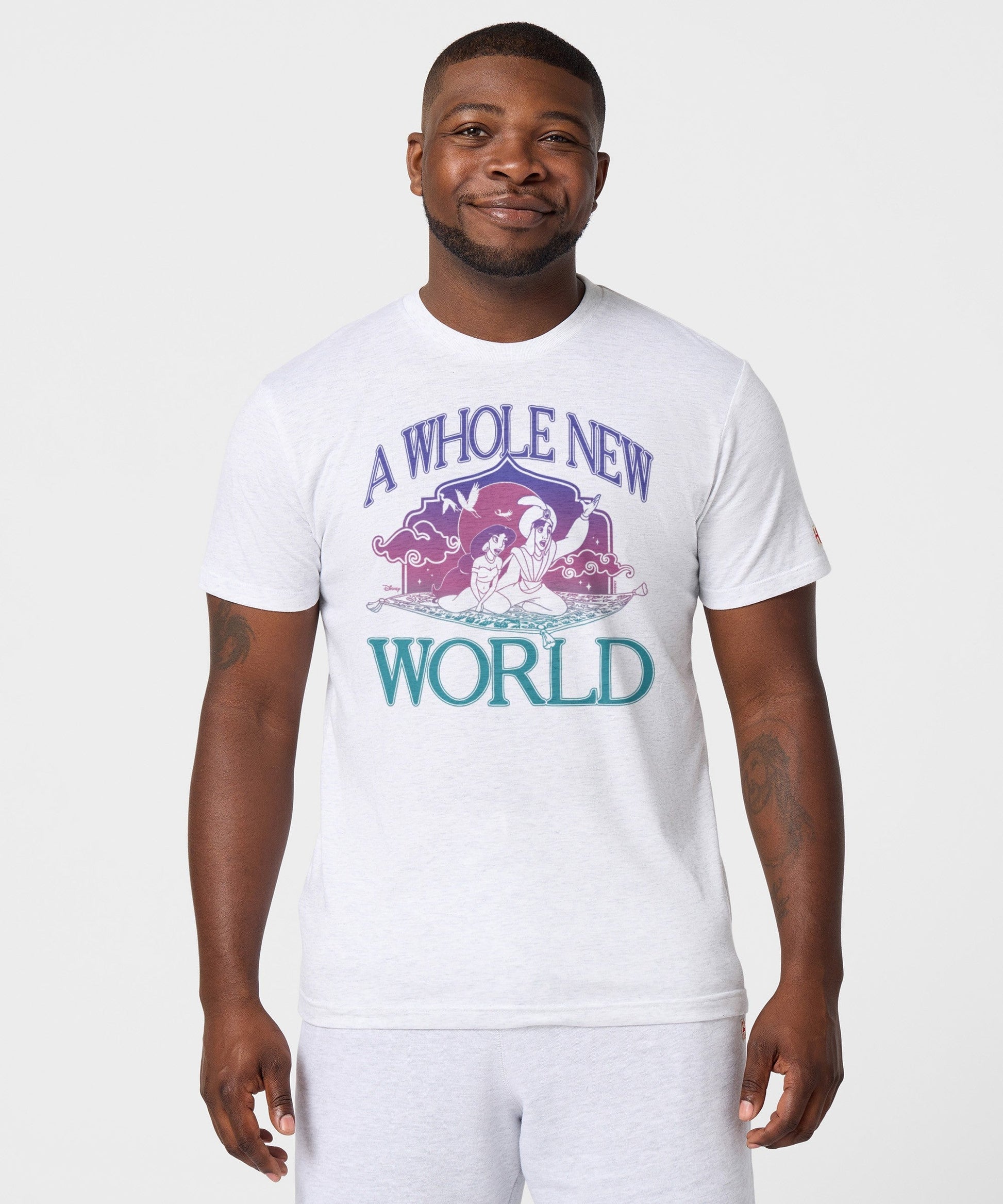 Aladdin A Whole New World