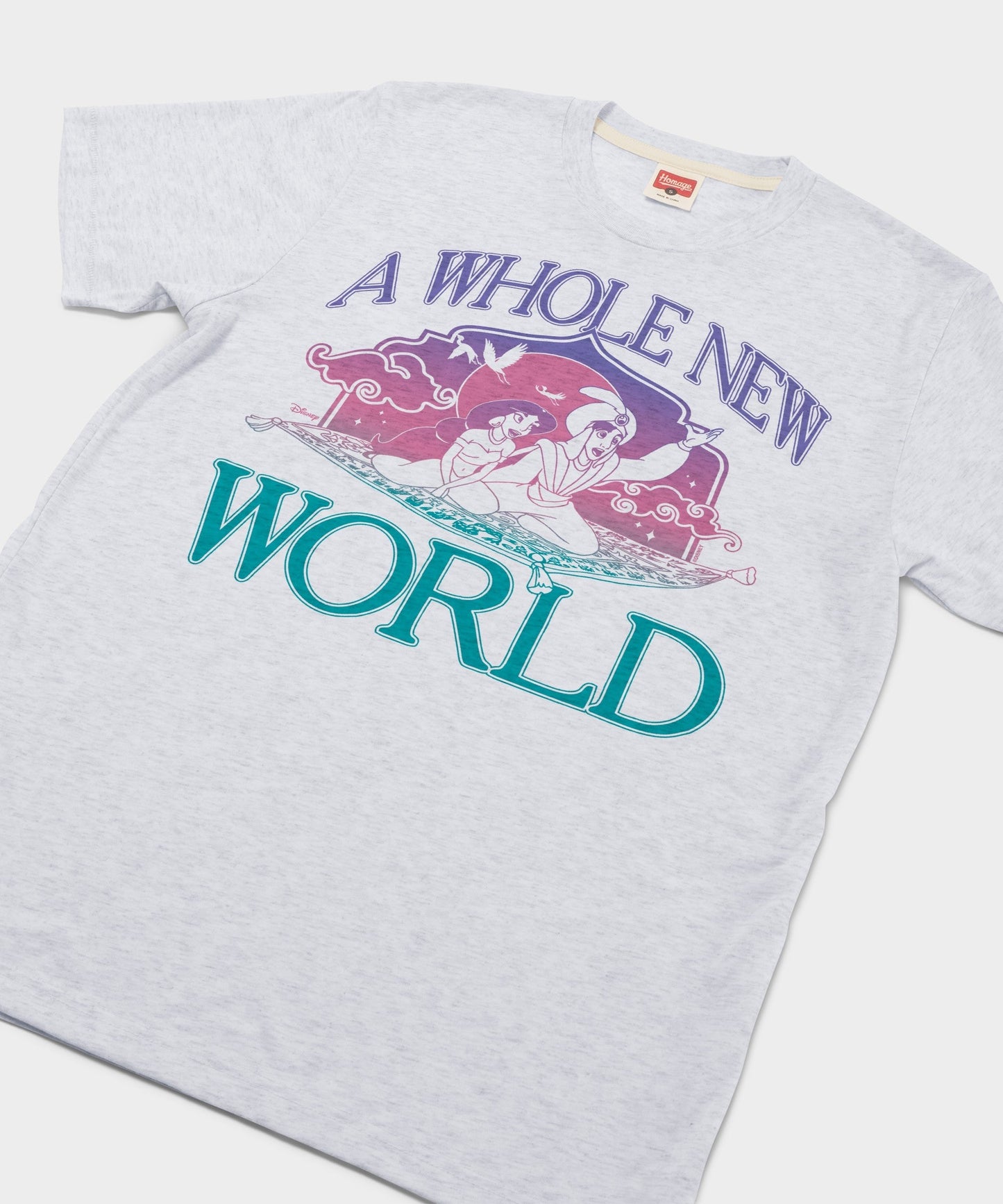 Aladdin A Whole New World