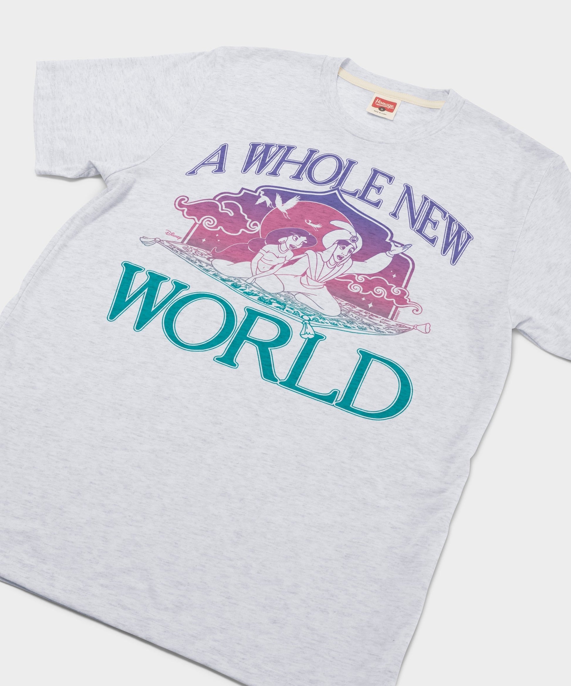 Aladdin A Whole New World