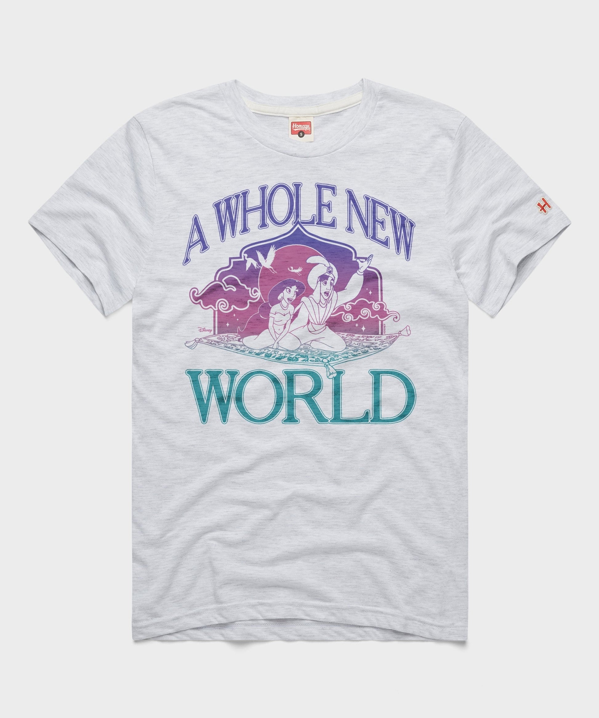 Aladdin A Whole New World