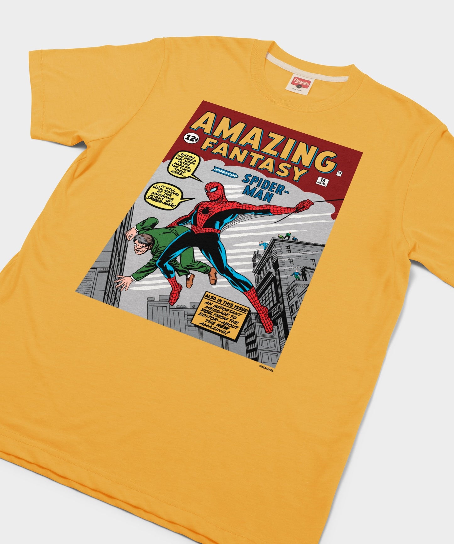 Amazing Fantasy Issue #15