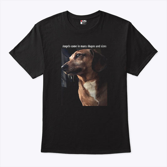 Angels Come In Many Shapes And Sizes Frankie T Shirt