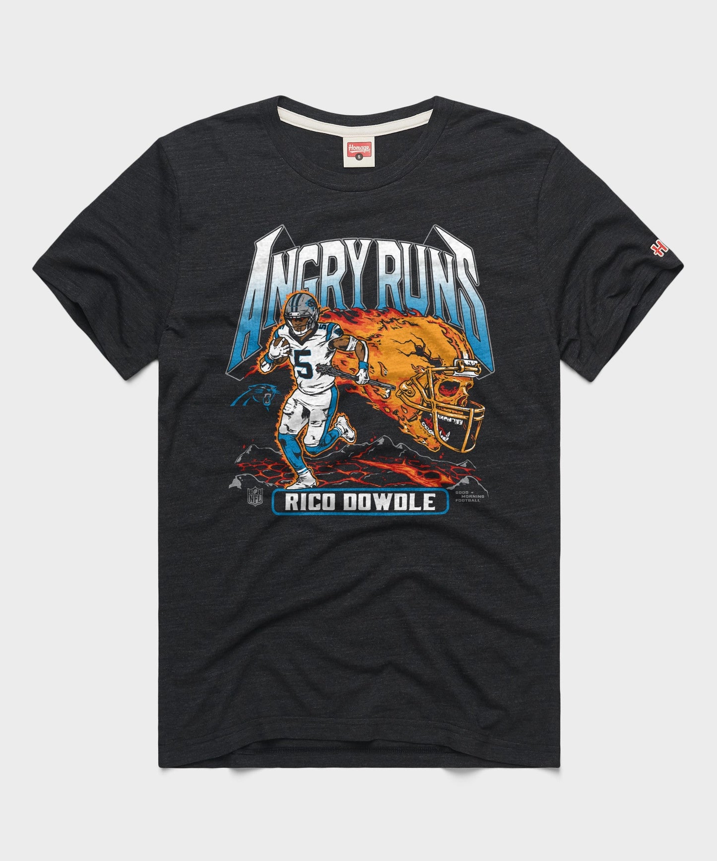 Angry Runs 2025 Panthers Rico Dowdle