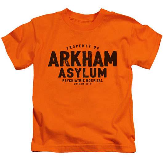 Batman Arkham Asylum Juvenile Kids Youth T Shirt Orange