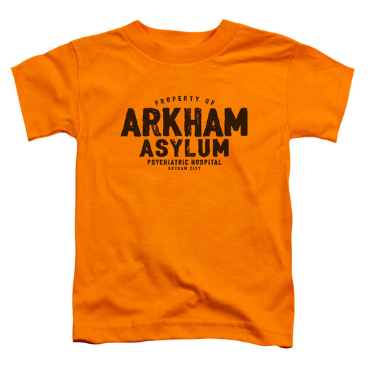 Batman Arkham Asylum Toddler Kids Youth T Shirt Orange
