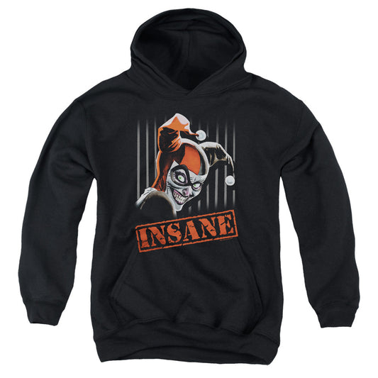 Batman Insane Kids Youth Hoodie Black