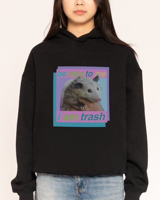 Be Nice to Me Hoodie