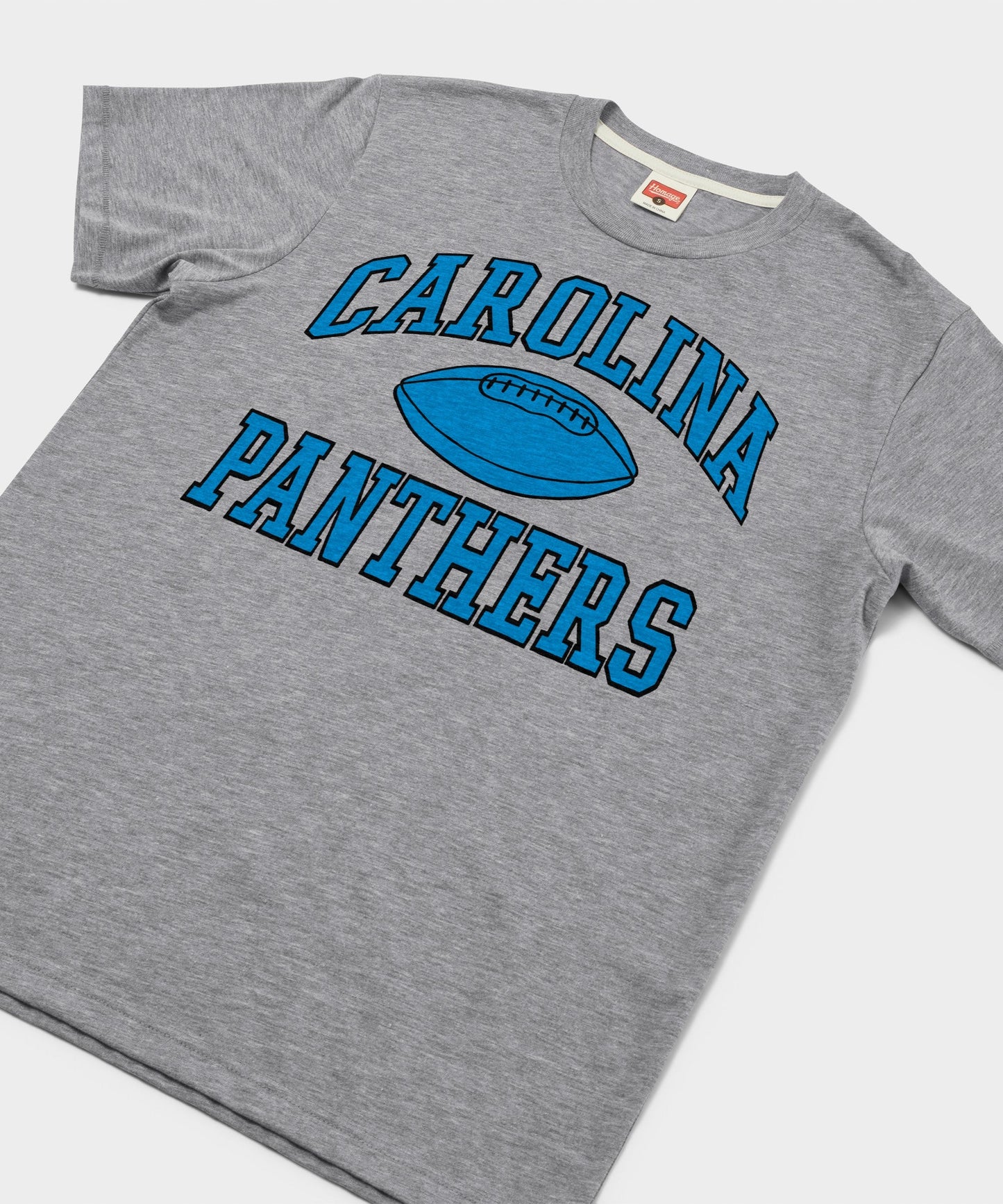 Carolina Panthers Gridiron
