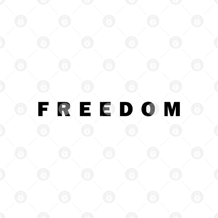 Charlie Kirk Freedom T Shirt