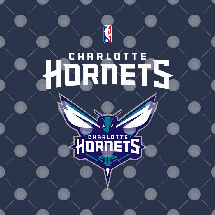 Charlotte Hornets 2025 Summer League Champions Victory In Vegas Shirt