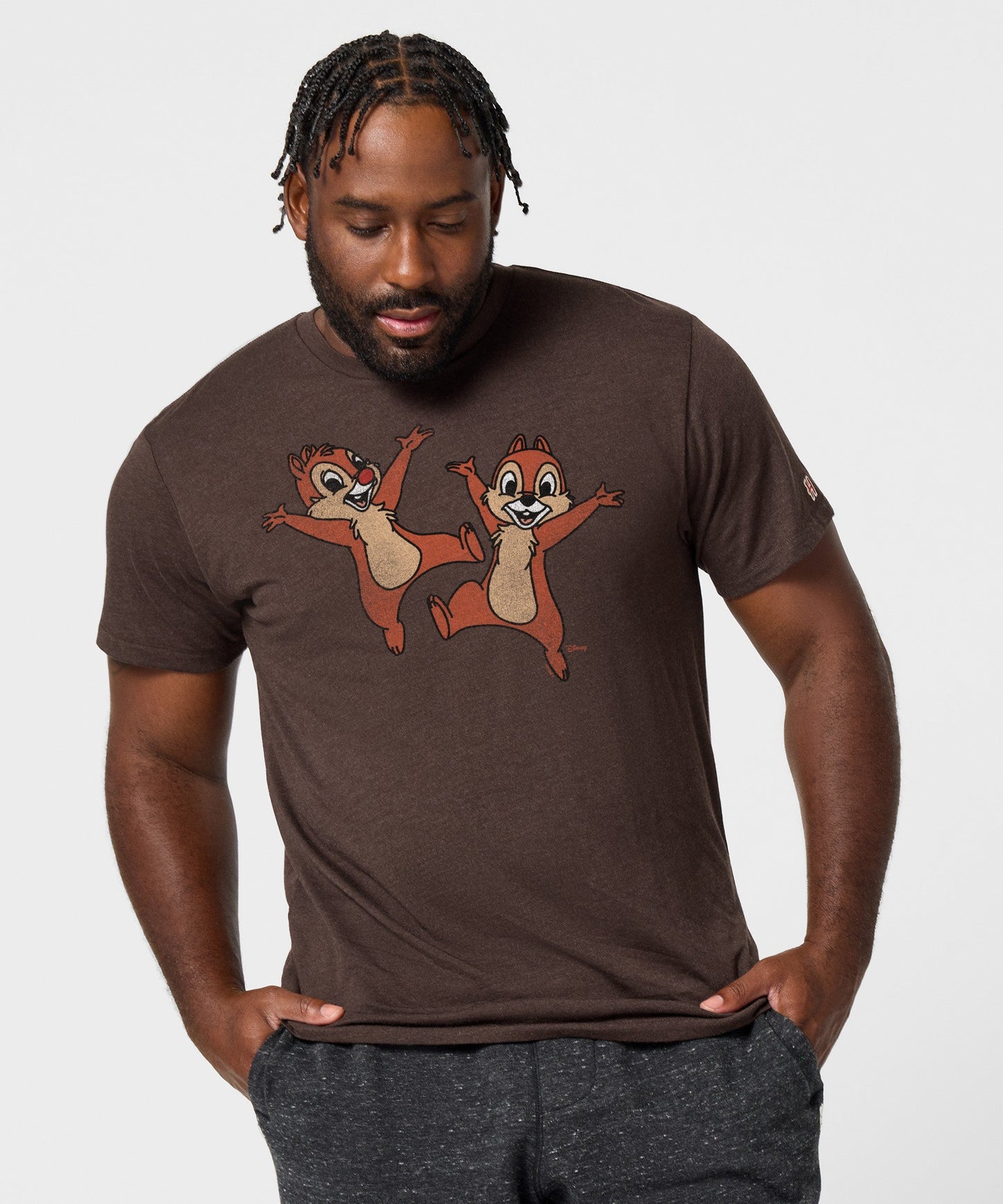 Chip 'n Dale Character