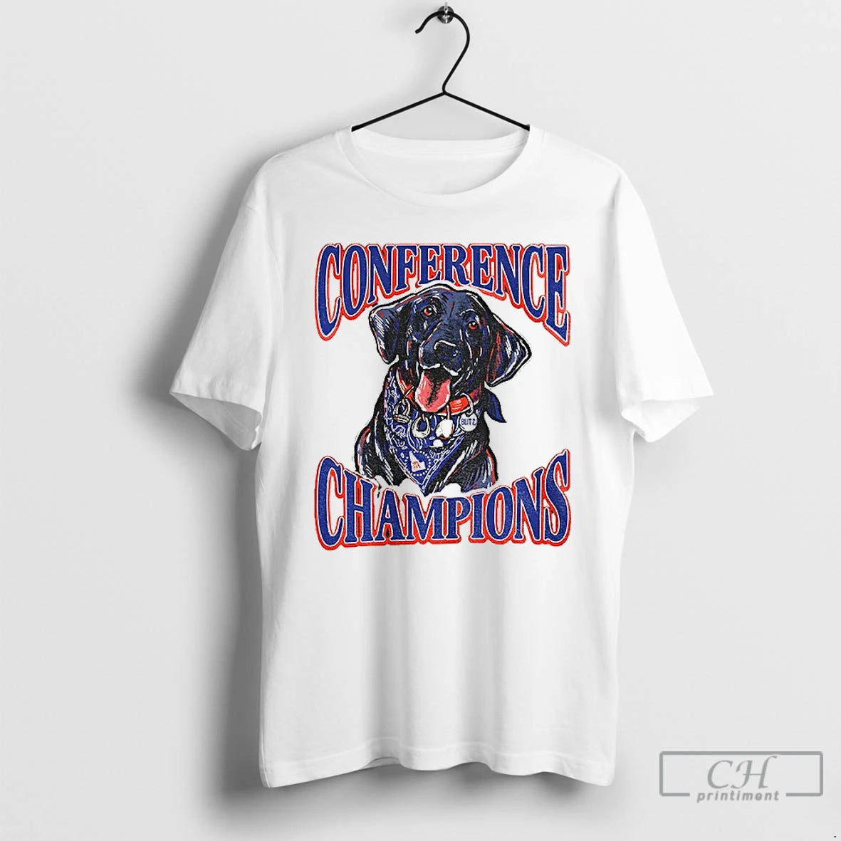 Classic Boise State Broncos Back To Back Conference Champions Blitz - clothing by TeeHivey.com