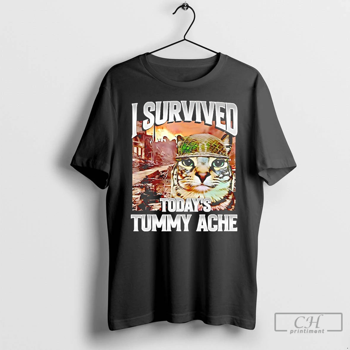 Classic I Survived Todays Tummy Ache Cat Meme