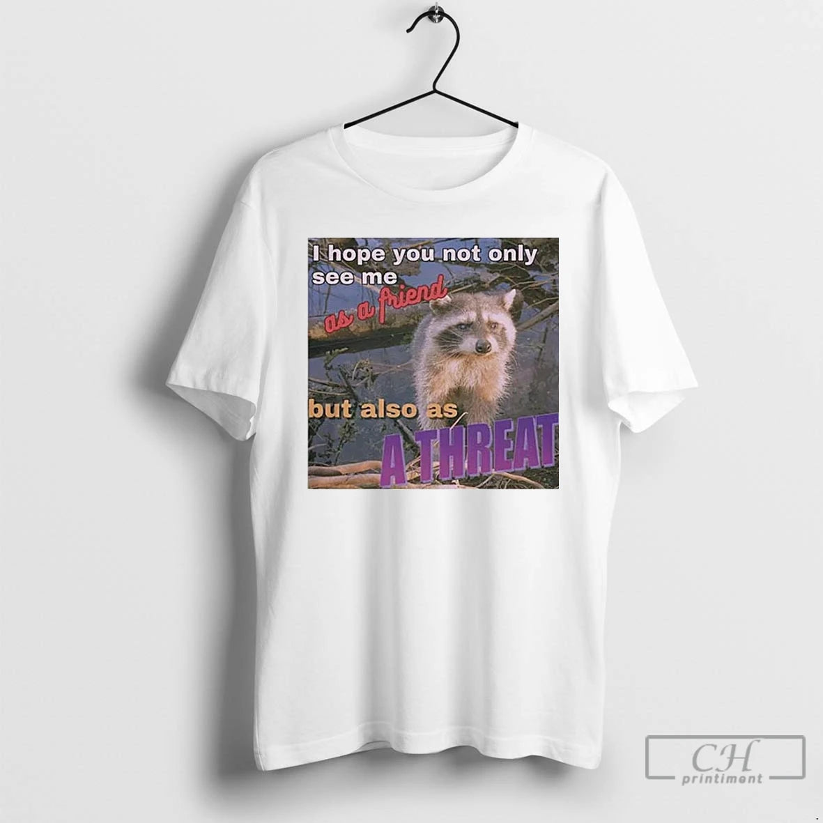 Classic Raccoon I Hope You Not Only See Me As A Friend But Also As - clothing by TeeHivey.com