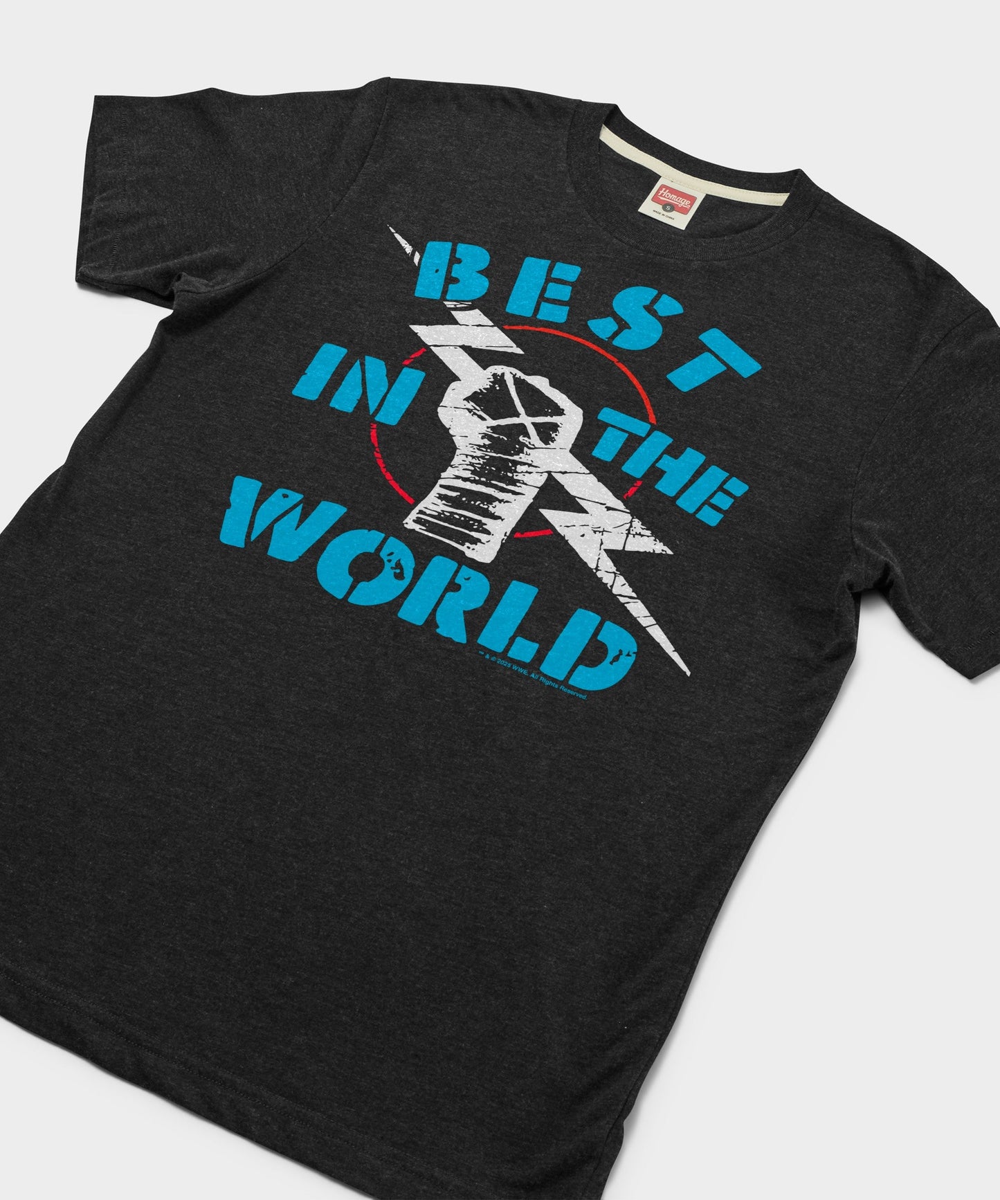 CM Punk Best In The World