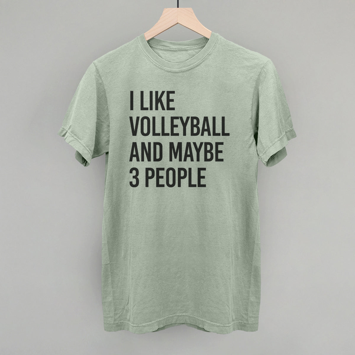 I Like Volleyball And Maybe 3 People