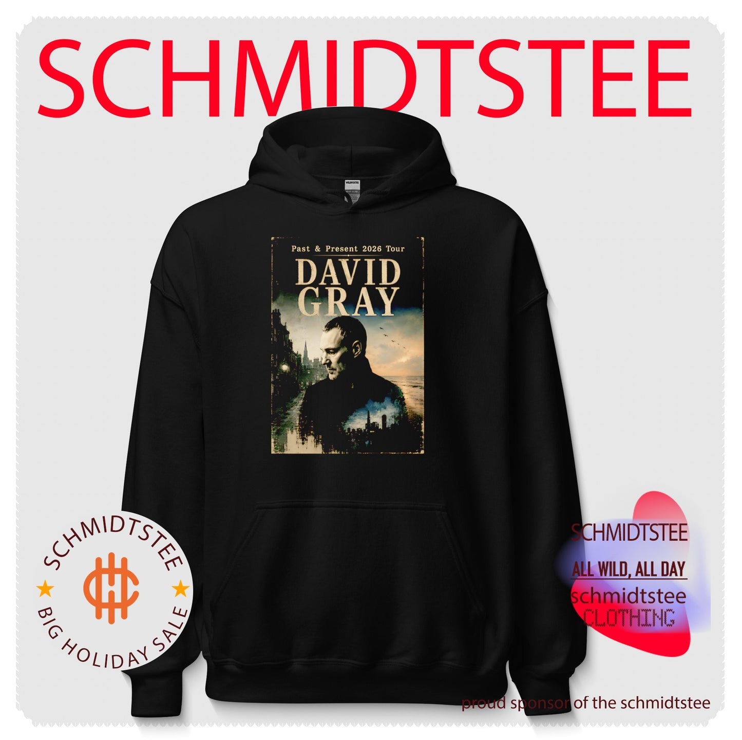 David Gray Past & Present 2026 Tour Singer Songwriter shirt