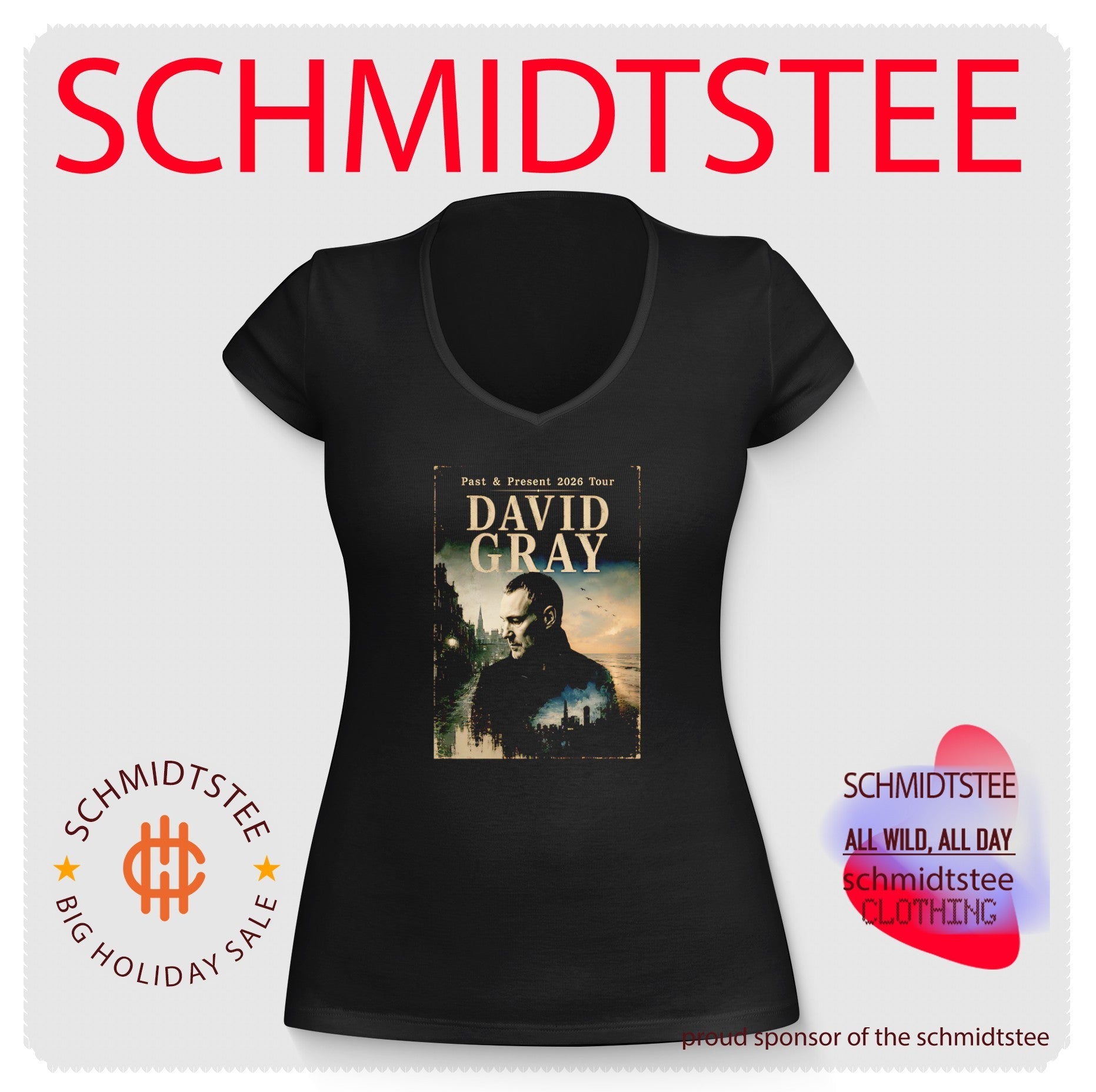 David Gray Past & Present 2026 Tour Singer Songwriter shirt