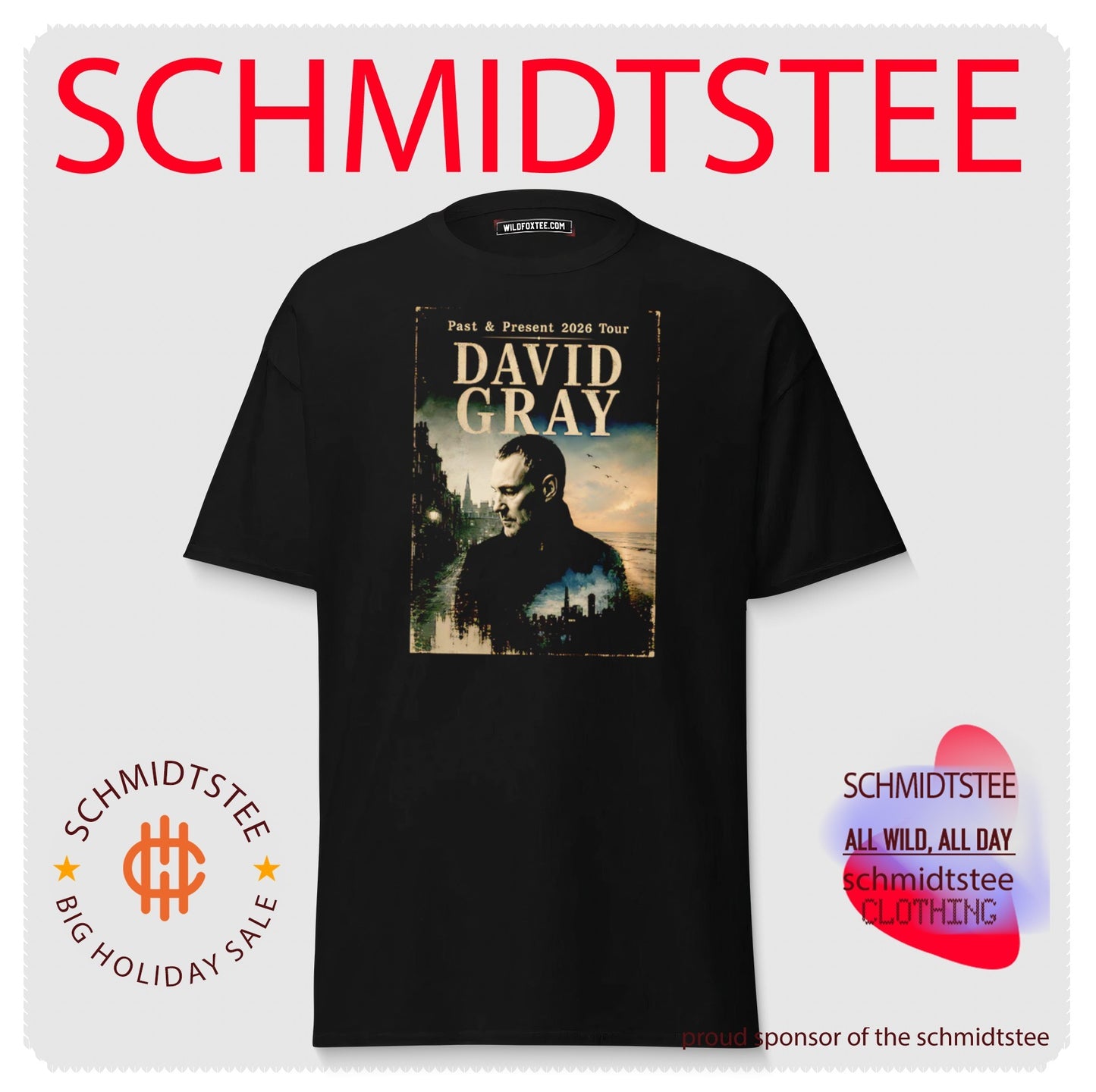 David Gray Past & Present 2026 Tour Singer Songwriter shirt