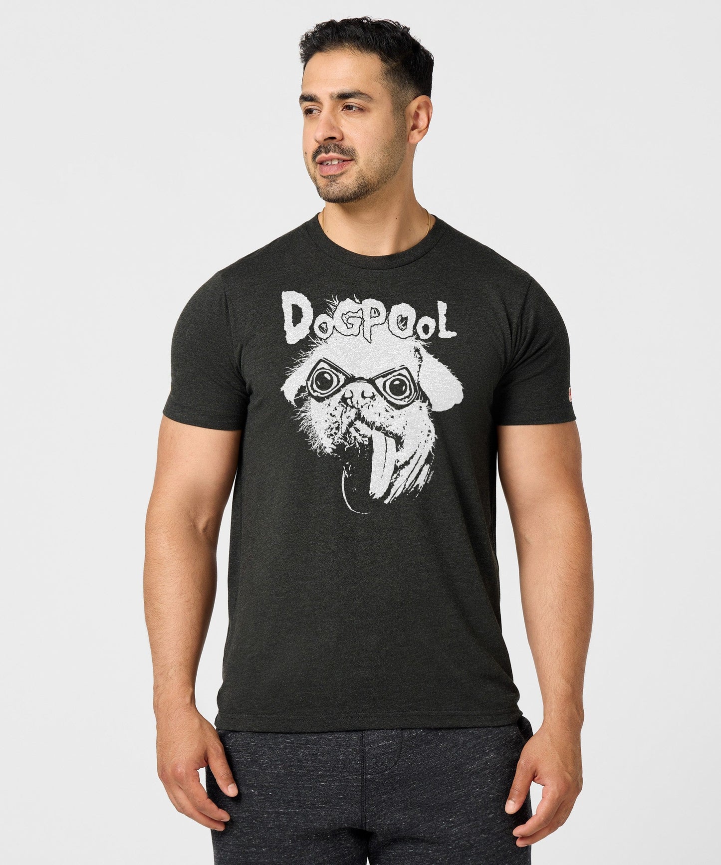 Deadpool The Real Big Dog: Dogpool