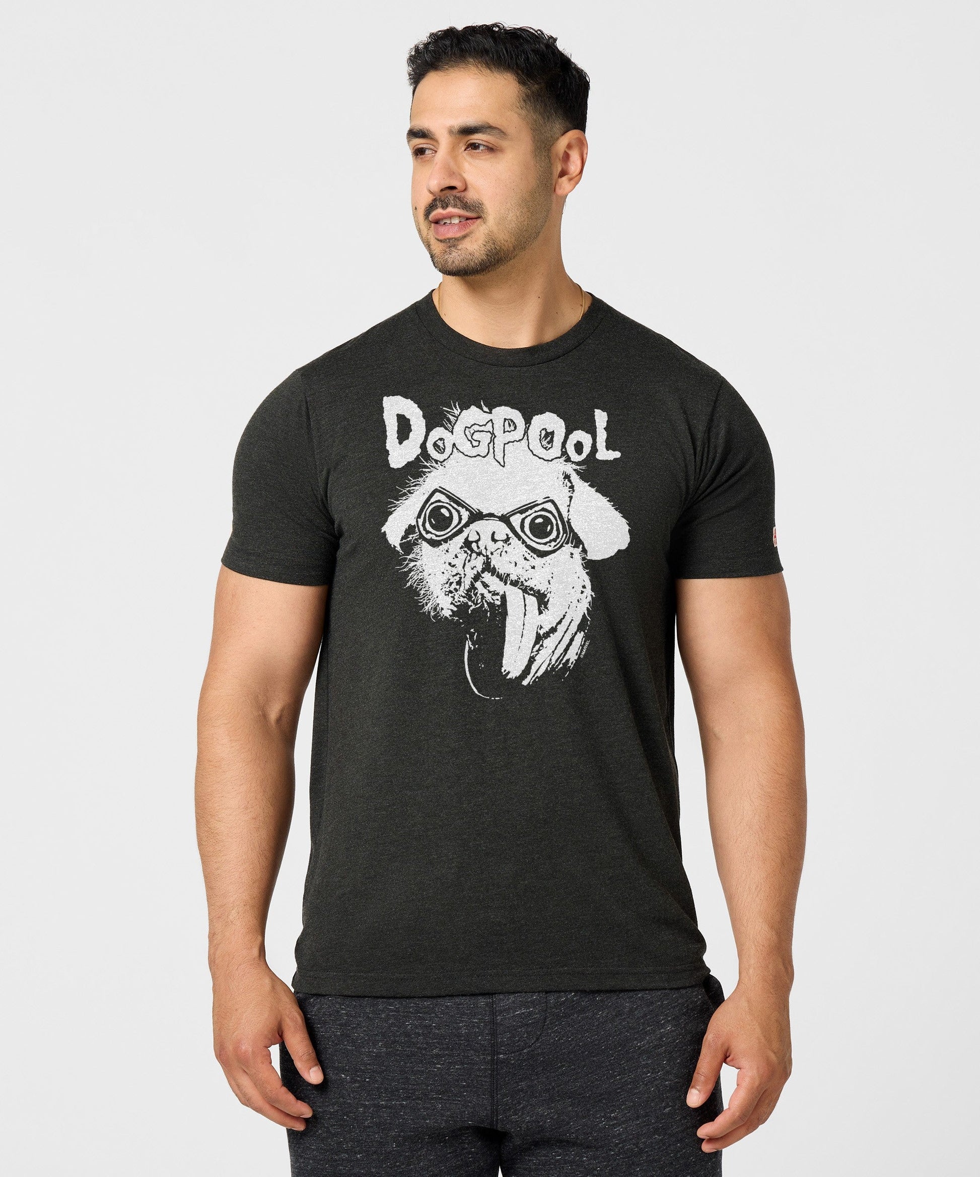 Deadpool The Real Big Dog: Dogpool