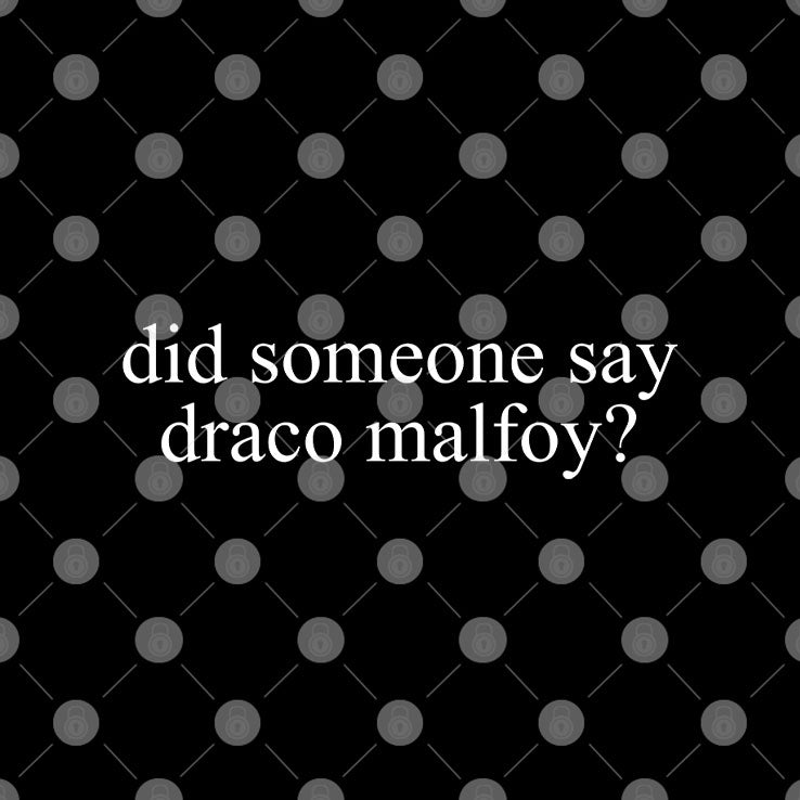 Did Someone Say Draco Malfoy T Shirt
