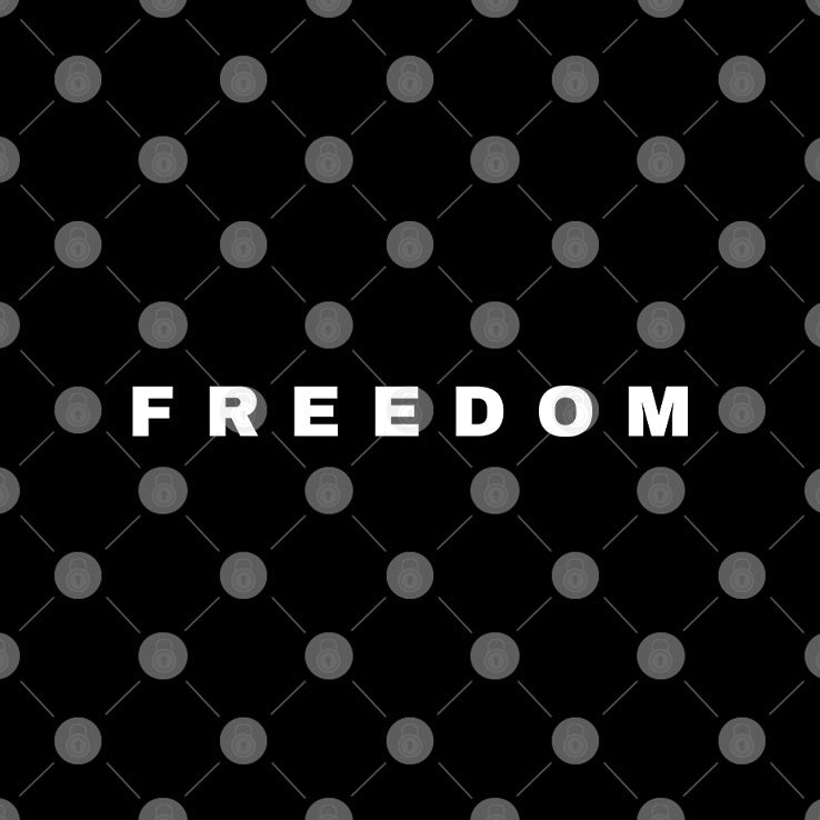 Freedom Charlie Kirk Tribute T Shirt