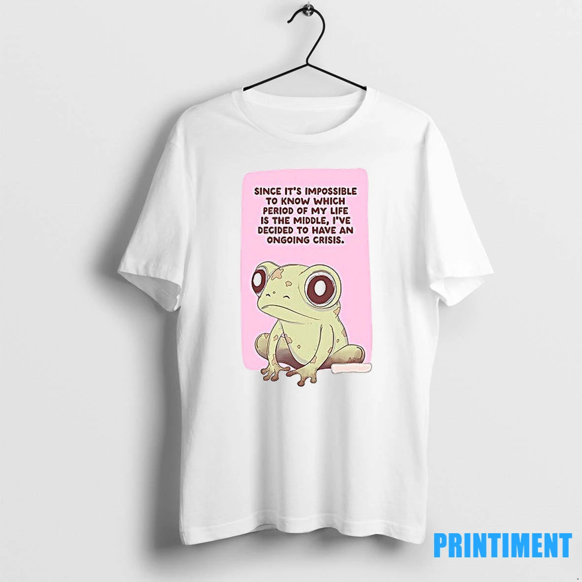 Frog Since Its Impossible To Know Which Period Of My Life Is The Middle Tshirts - clothing by TeeHivey.com