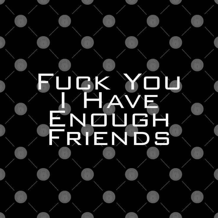 Fuck You I Have Enough Friends T Shirt