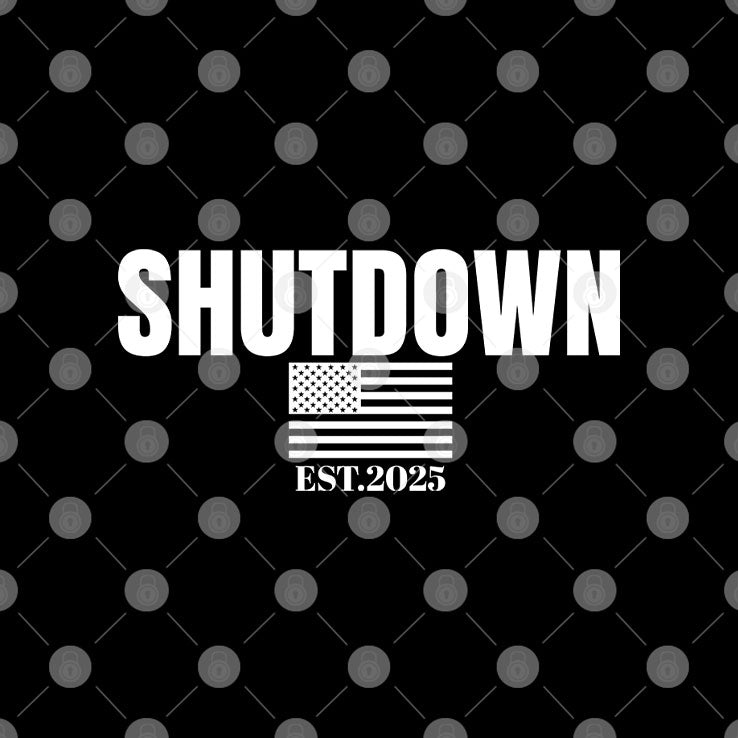 Government Shutdown Est 2025 T Shirt