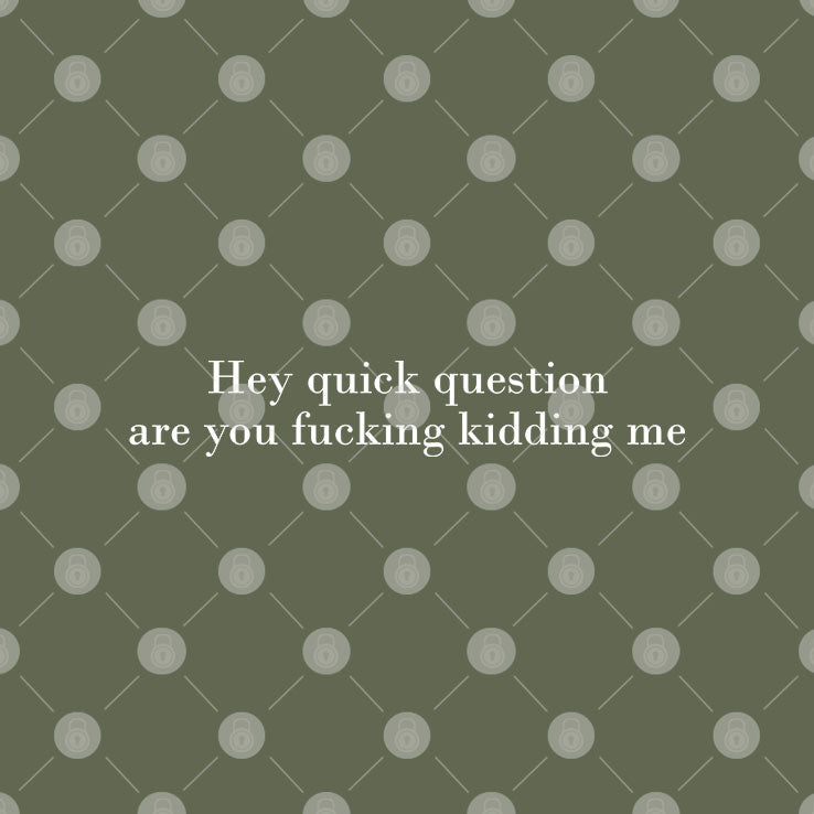 Hey Quick Question Are You Fucking Kidding Me T Shirt