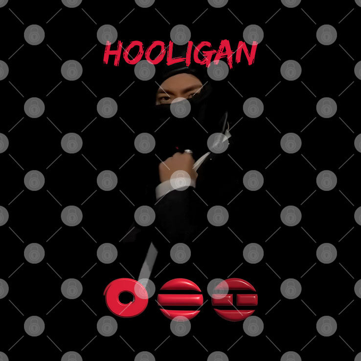Hooligan BTS Concert T Shirt