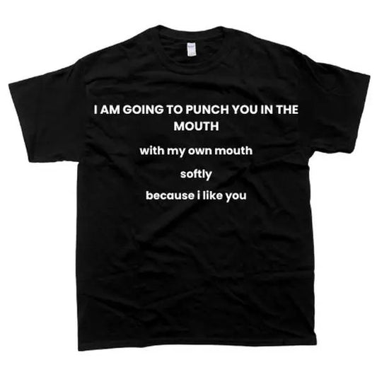 I Am Going To Punch You In The Mouth Meme T-Shirt, For Men, For Women - Unisex Style, 100% Cotton, Pullover unisex hoodie