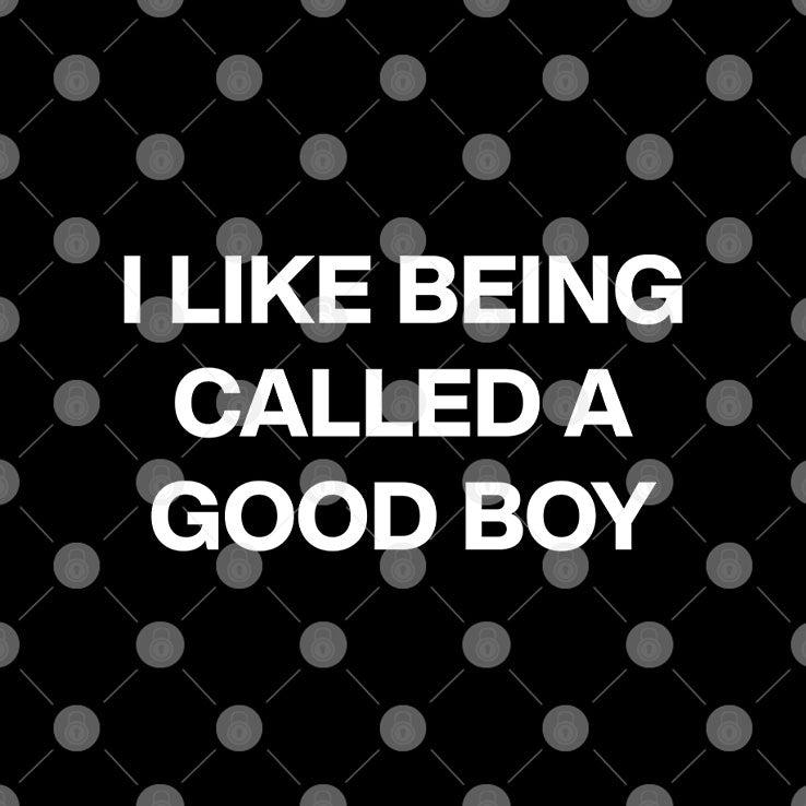 I Like Being Called A Good Boy T Shirt