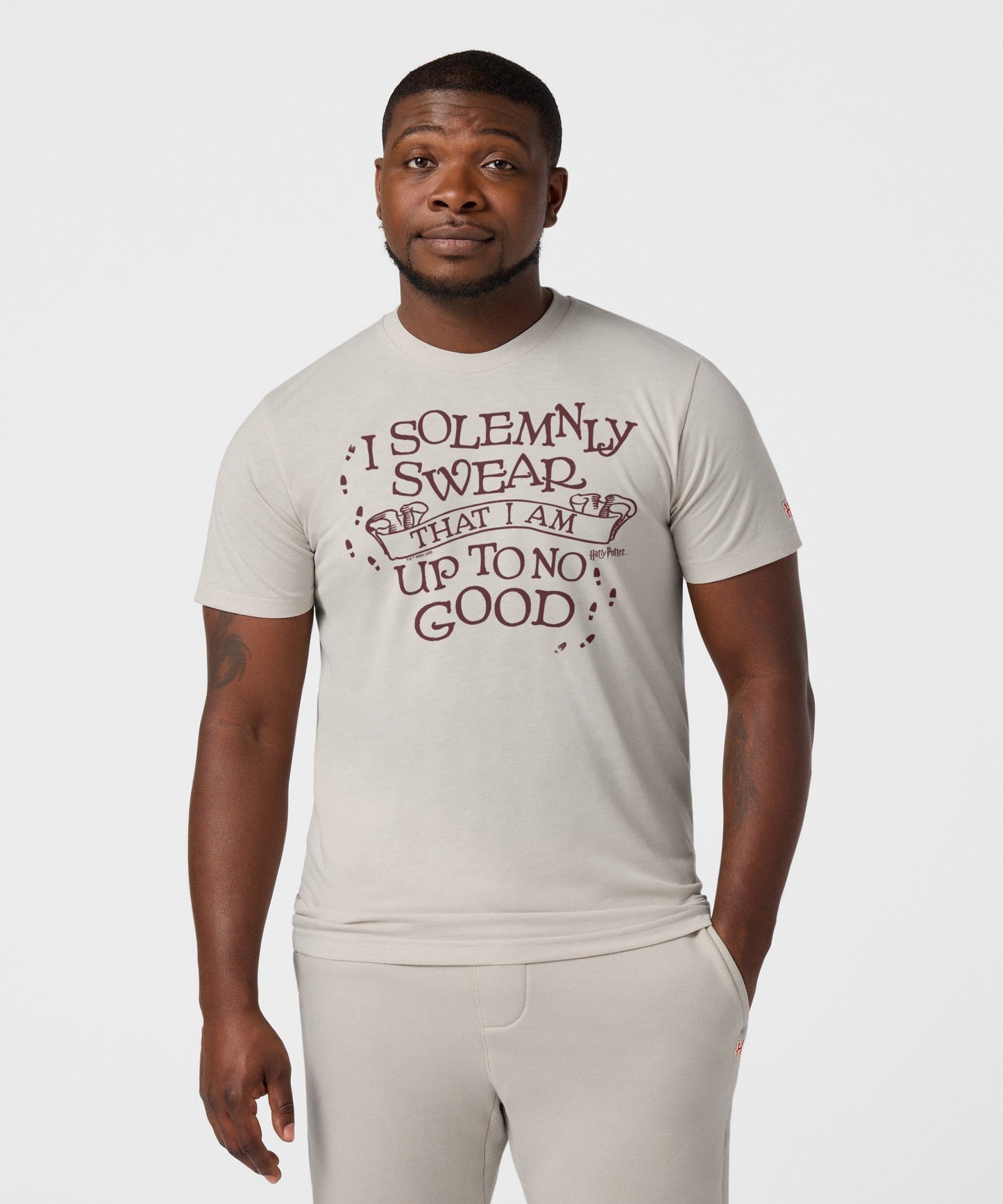 I Solemnly Swear That I Am Up To No Good