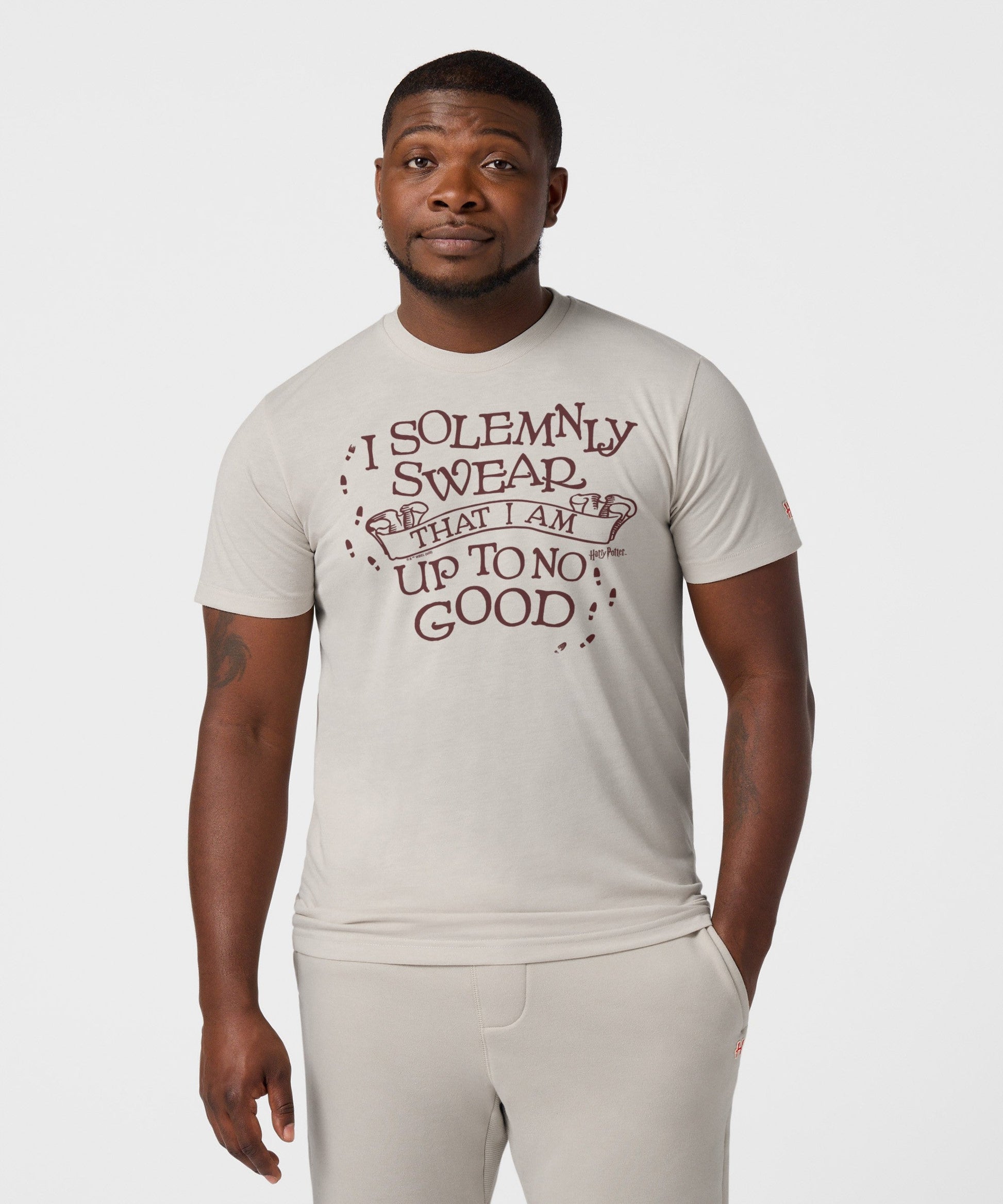 I Solemnly Swear That I Am Up To No Good