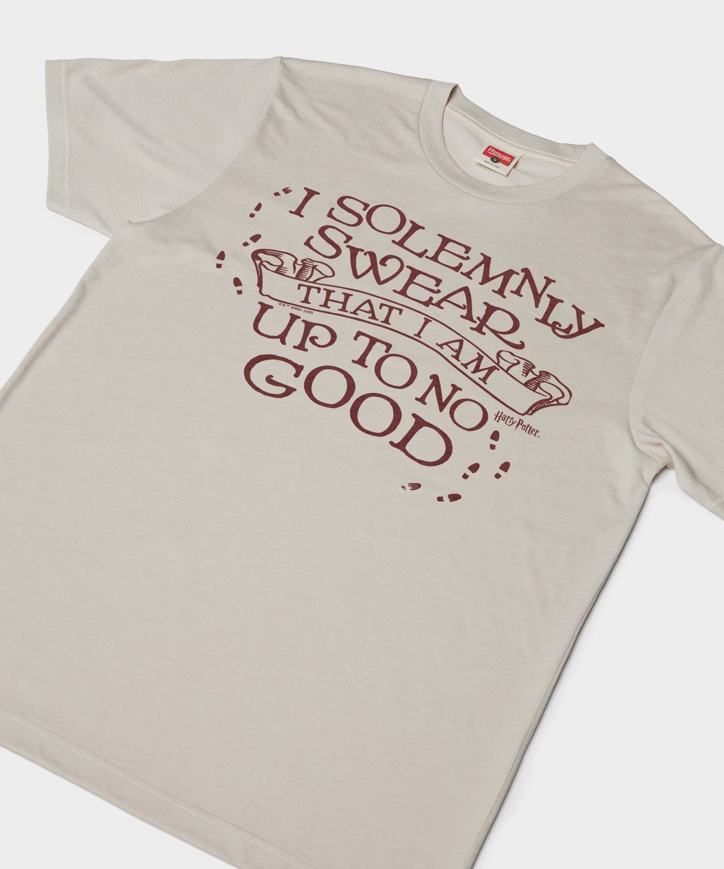 I Solemnly Swear That I Am Up To No Good